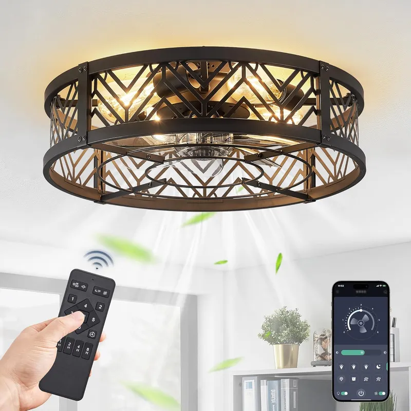 LEDIARY 20 Inch Caged Ceiling Fan with Light